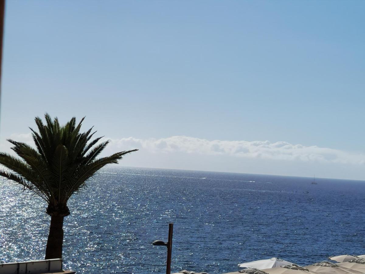 Daniel Beachfront, 2 Rooms Wifi Free 플라야데라스아메리카스 외부 사진